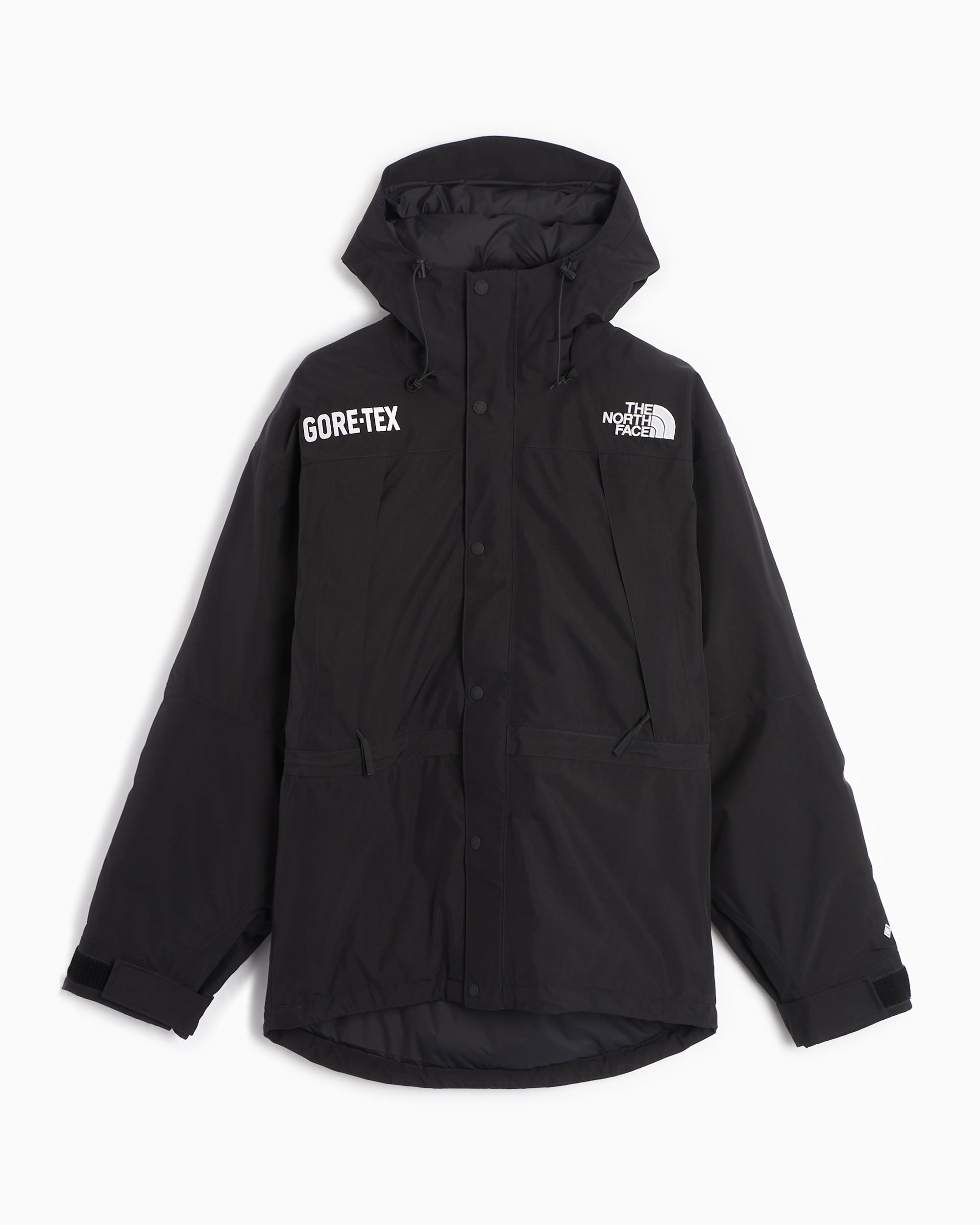 North face gore tex down 2025