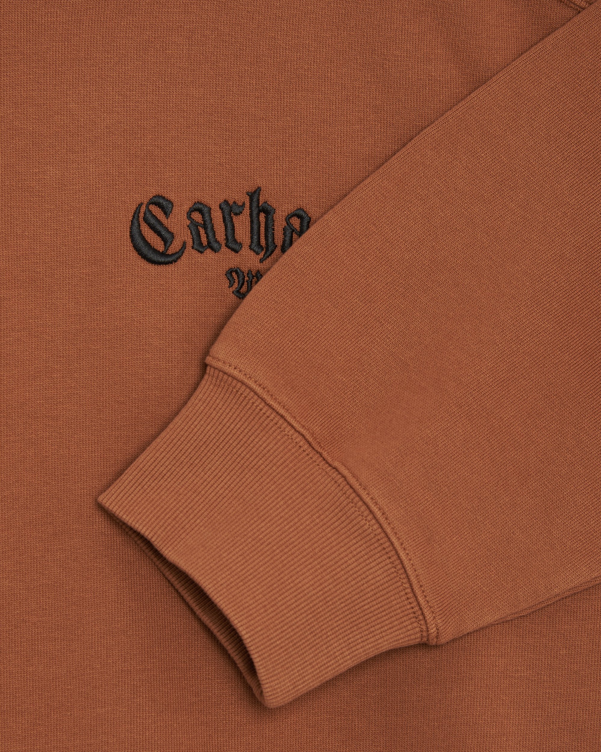 Carhartt WIP Hooded Onyx Script Sweatshirt