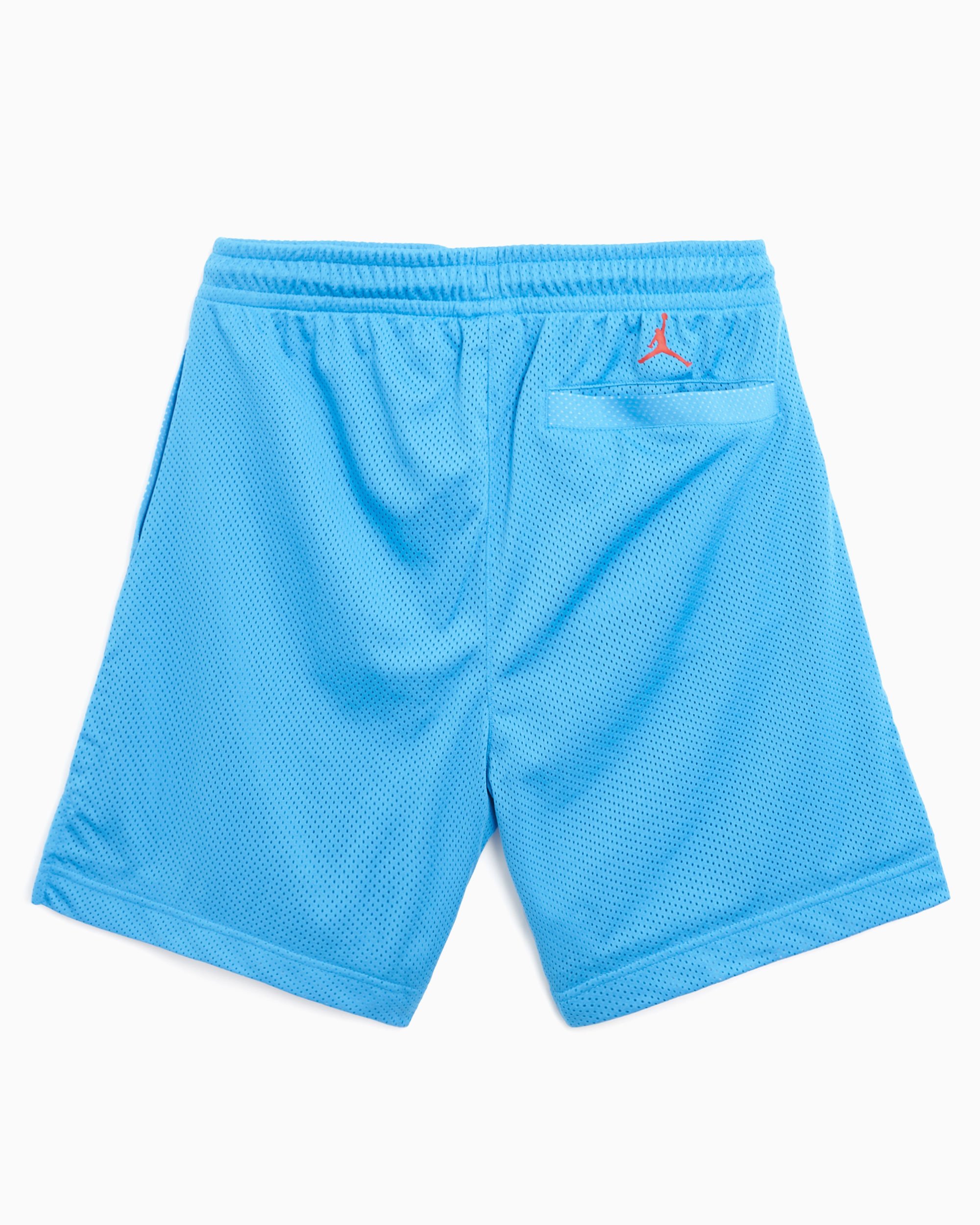 Jordan Artist Series By Darien Birks Men s Shorts Blue HF5474 462 FOOTDISTRICT