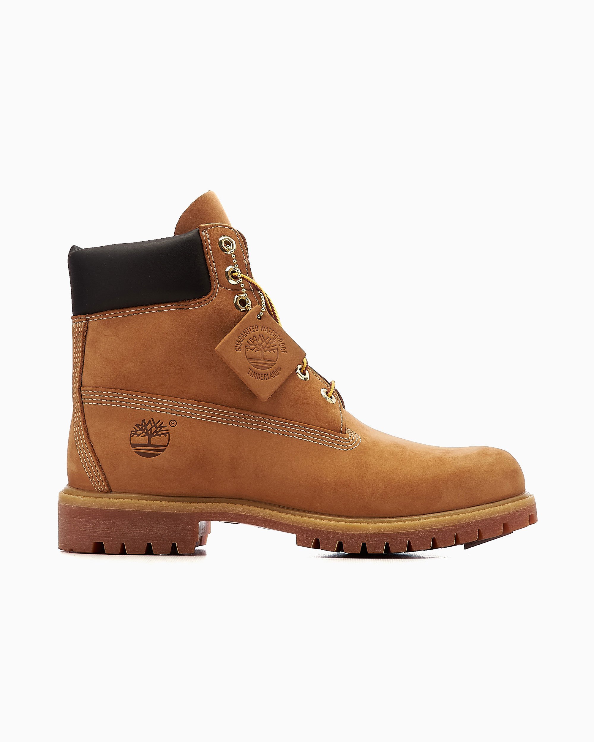 Timberland wheat color 2025