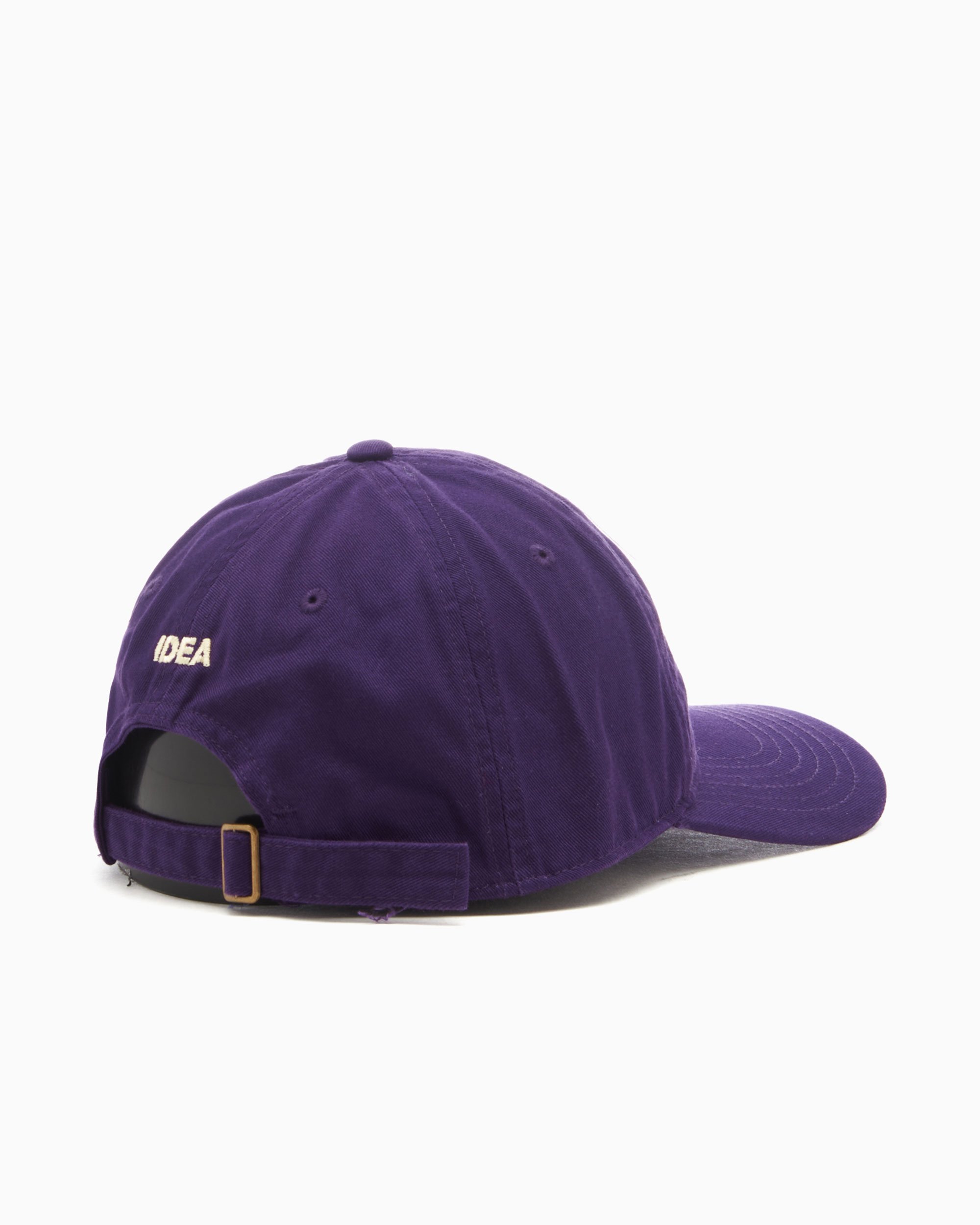 DSMG購入 IDEAキャップ Tiger In Bedパープル IDEA BOOKS / アイディアブックス】TIGER IN BED HAT(505334422
