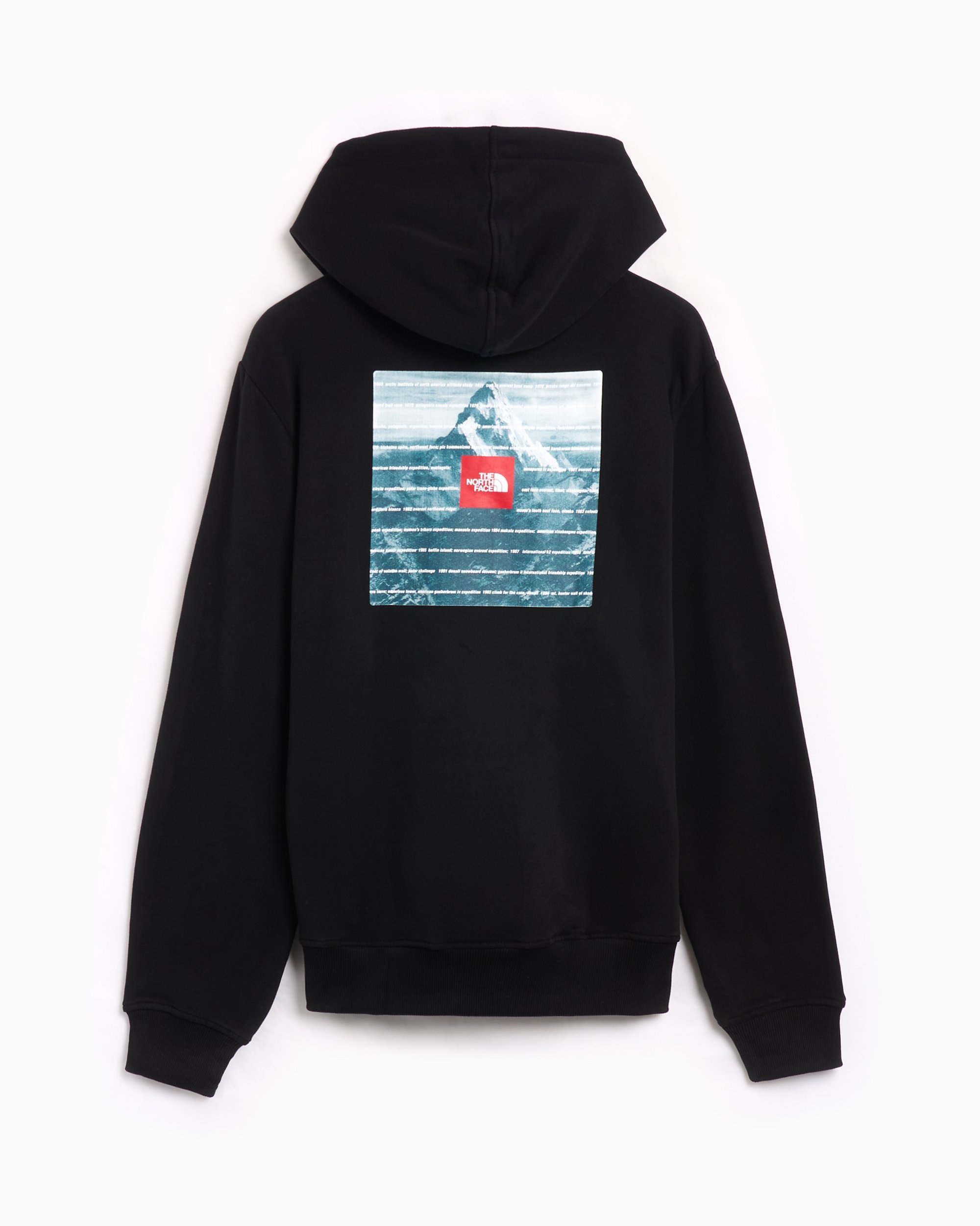 North face expedition hoodie best sale