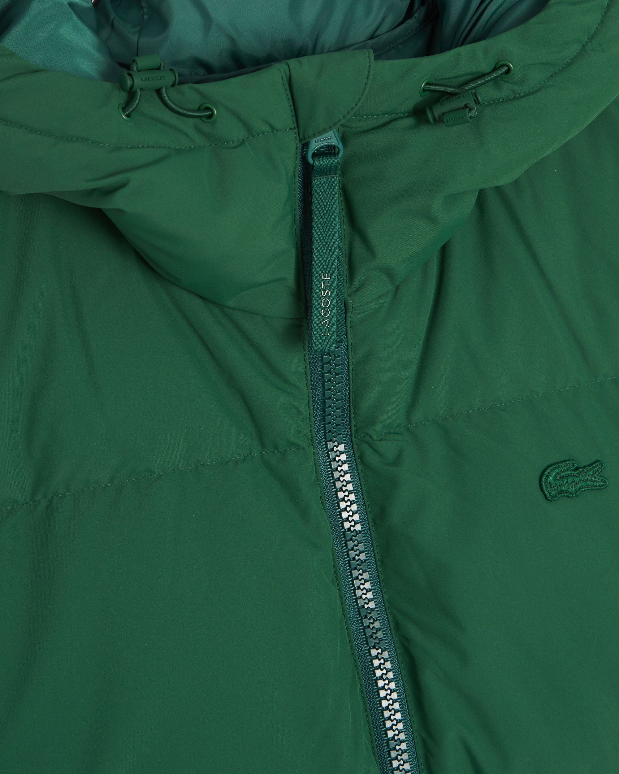 Lacoste Logo Men s Padded Hooded Jacket Green BH3522 00 132 Buy