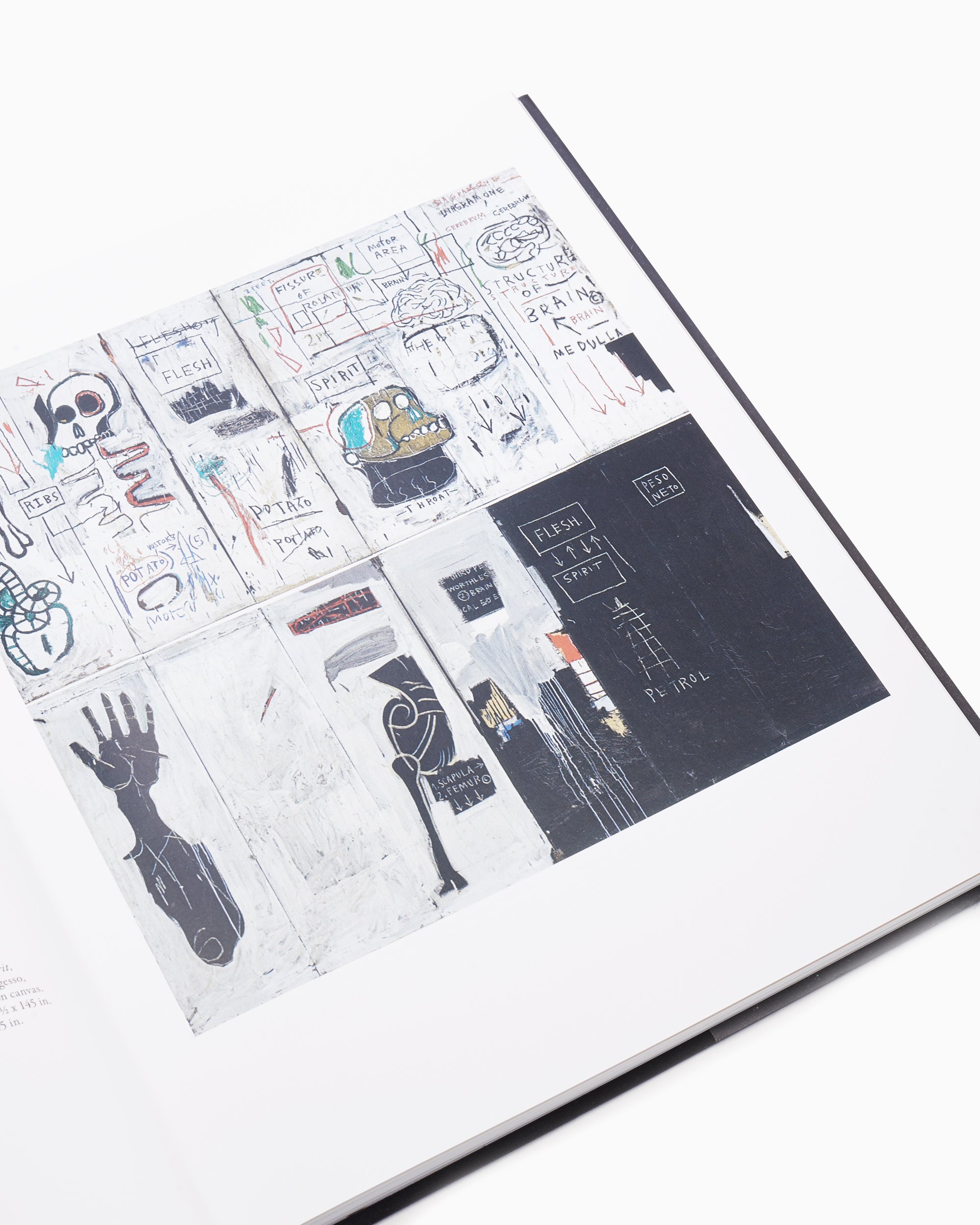 Rizzoli Jean-Michel Basquiat: The Iconic Works Black