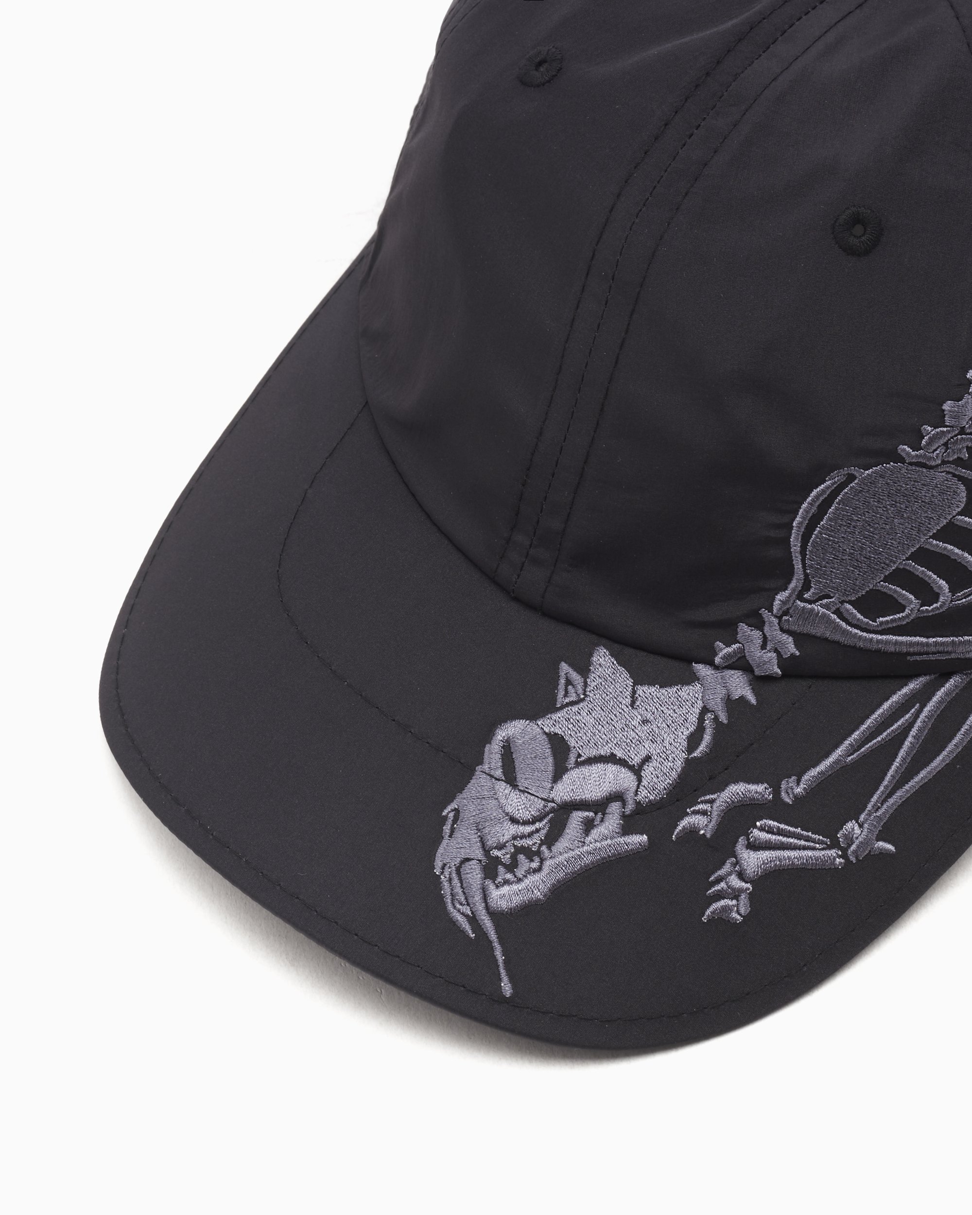 Puma x ARIES 6 Panel Unisex Cap Black 025882-01 | FOOTDISTRICT