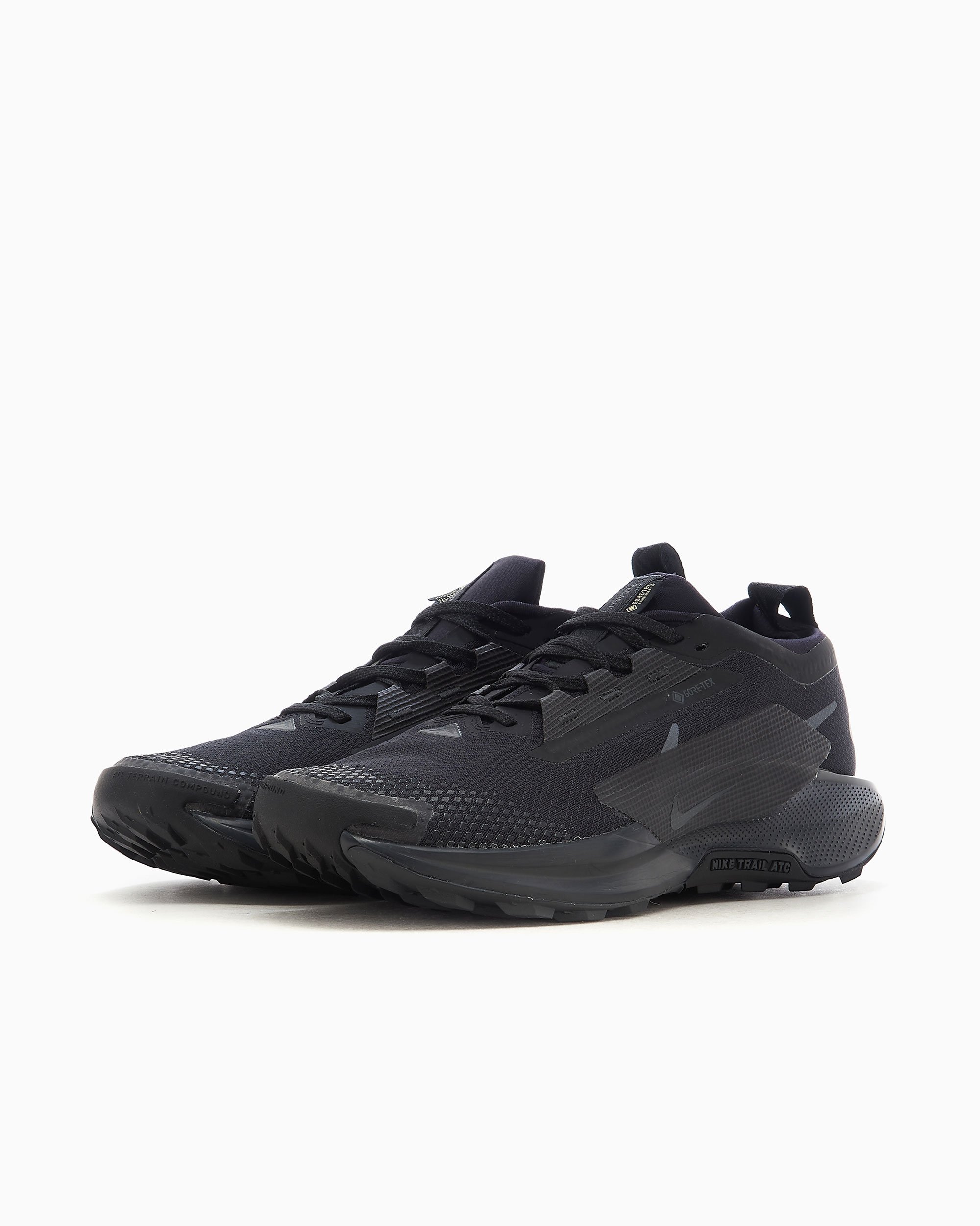 Nike Pegasus Trail 5 Gore-Tex Black FQ0908-002 | FOOTDISTRICT