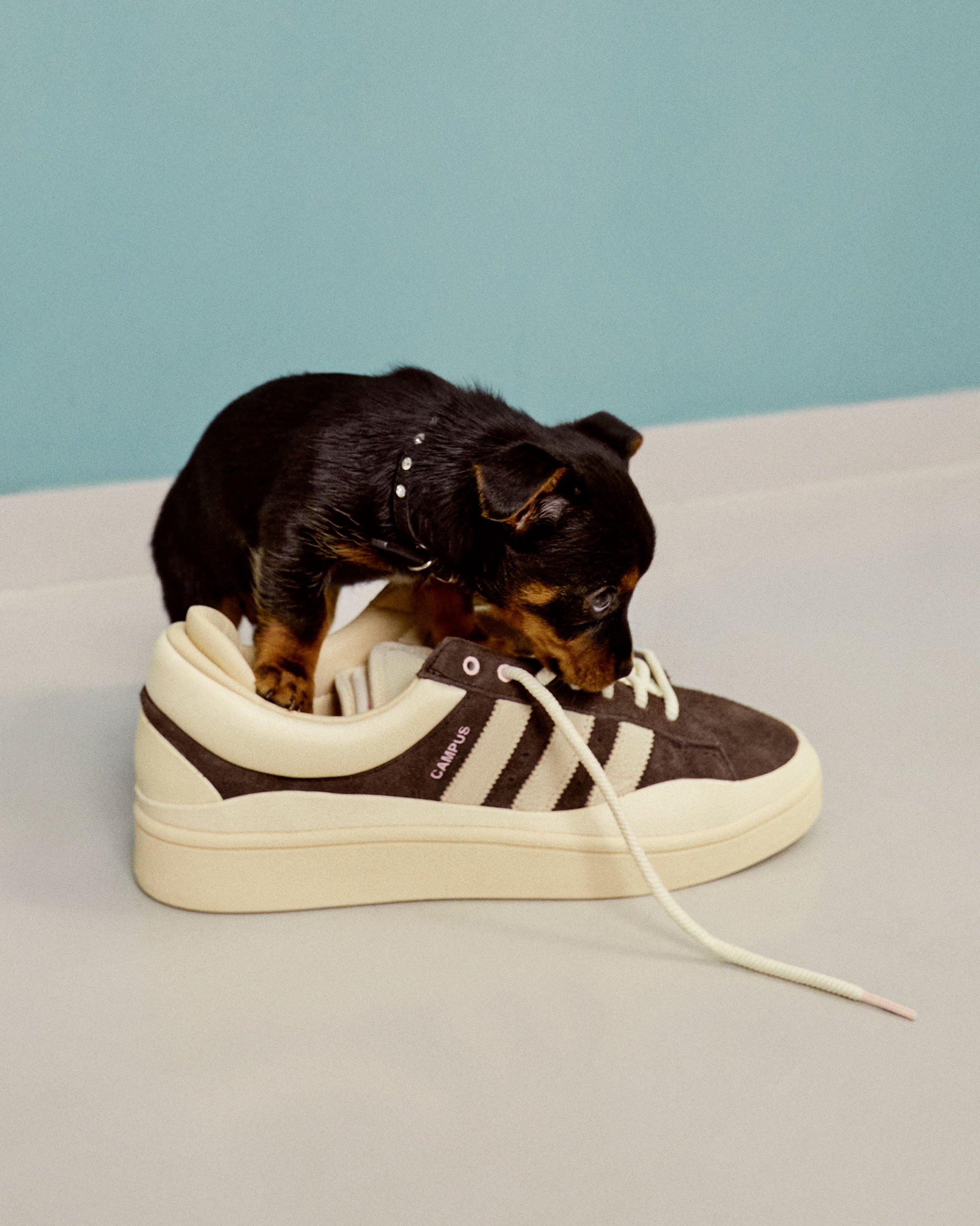 adidas Originals x Bad Bunny Campus Brown ID2534 | FOOTDISTRICT