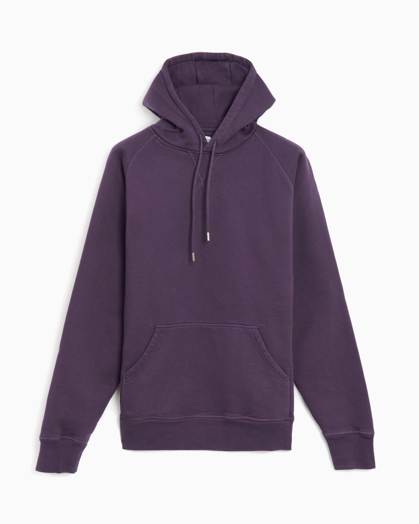 Pop Trading Company Logo Men's Hoodie Purple POPAW24_01-008