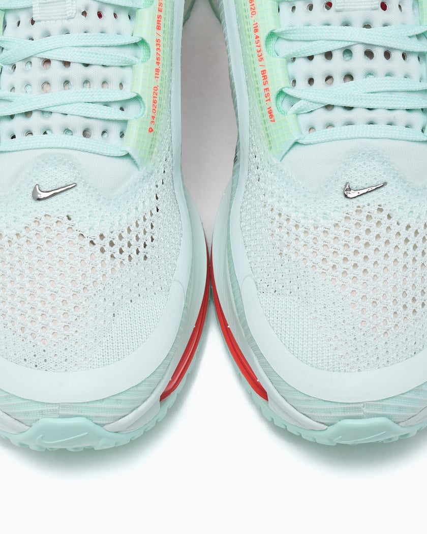 Nike Pegasus Premium 