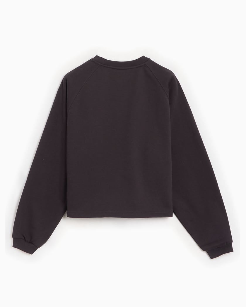 The North Face Red Box Crop Women's Sweatshirt Brown