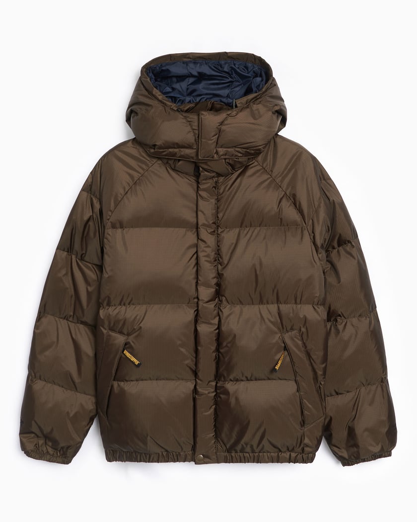 thisisneverthat® Men's Gore-Tex Windstopper Down Puffer Jacket Brown  GT243GOWHS01-OLB | FOOTDISTRICT