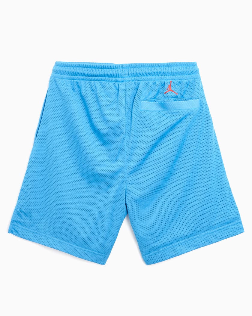 Jordan Artist Series By Darien Birks Men s Shorts Blue HF5474 462 FOOTDISTRICT