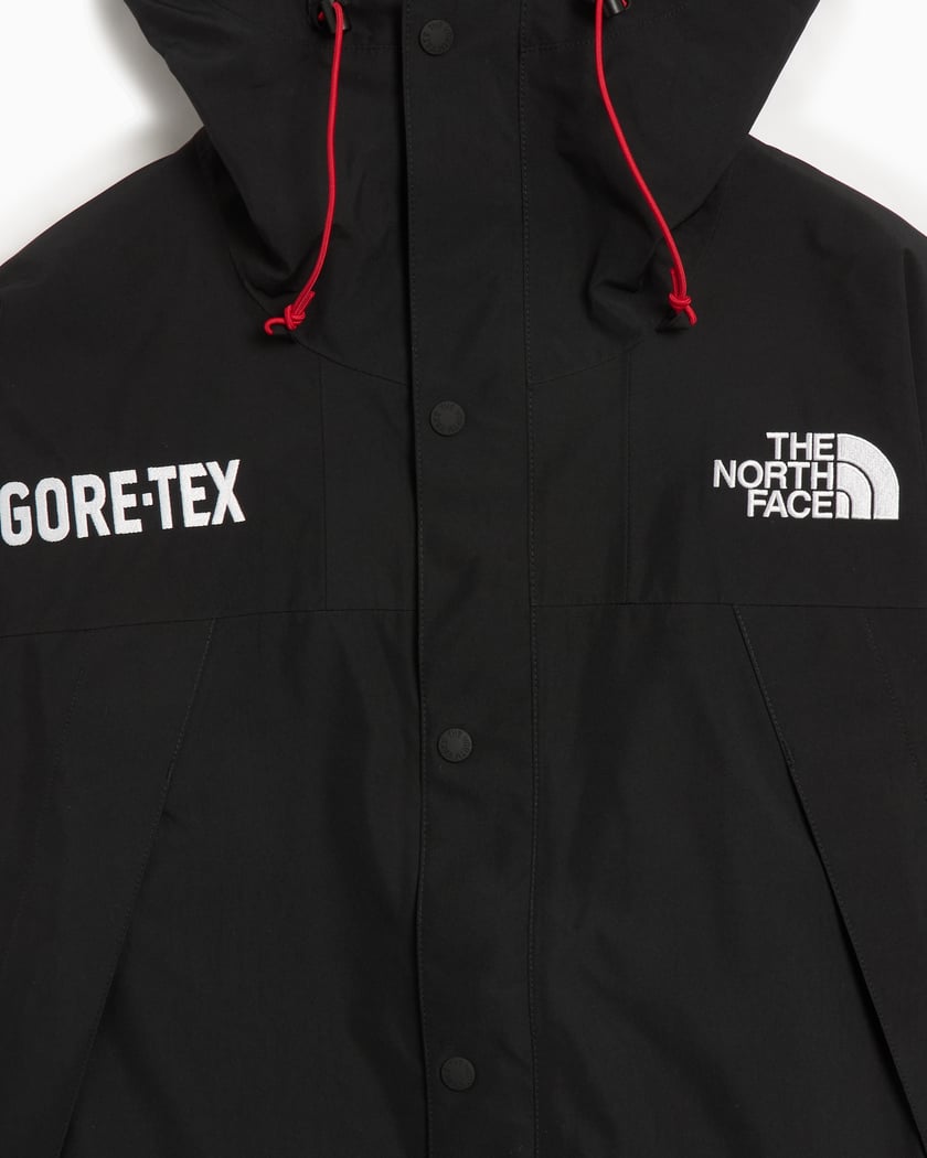 The North Face Mountain Men's Gore-Tex Hooded Jacket Schwarz