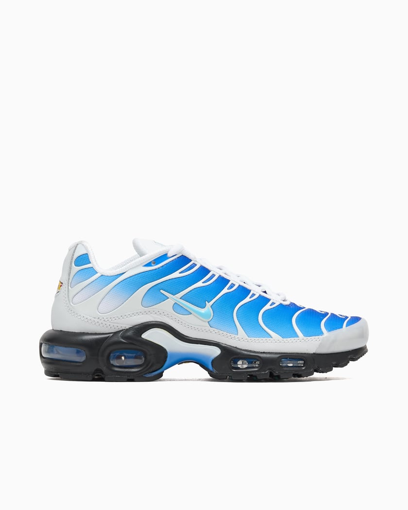 Nike x One Block Down Air Max Plus SP Blue FZ3308-400