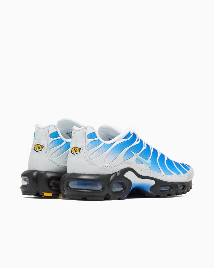 Nike x One Block Down Air Max Plus SP Blue FZ3308-400 | FOOTDISTRICT