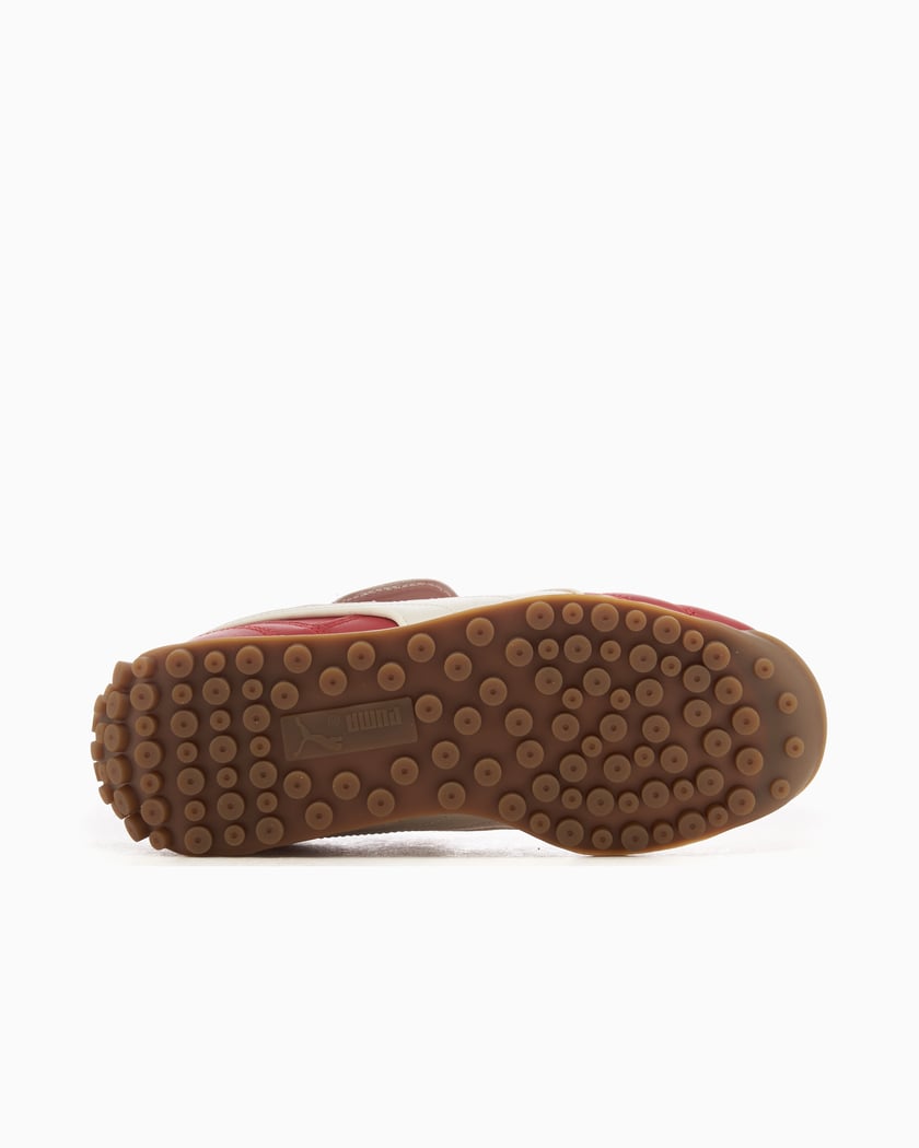 Puma avanti rot clearance