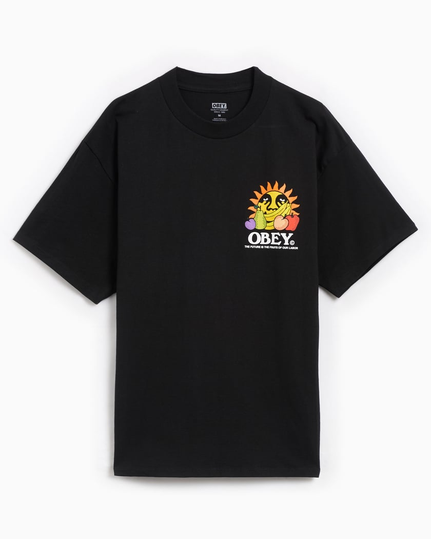 OBEY Clothing Obey Studios Eye Men's Heavyweight T-Shirt Black 