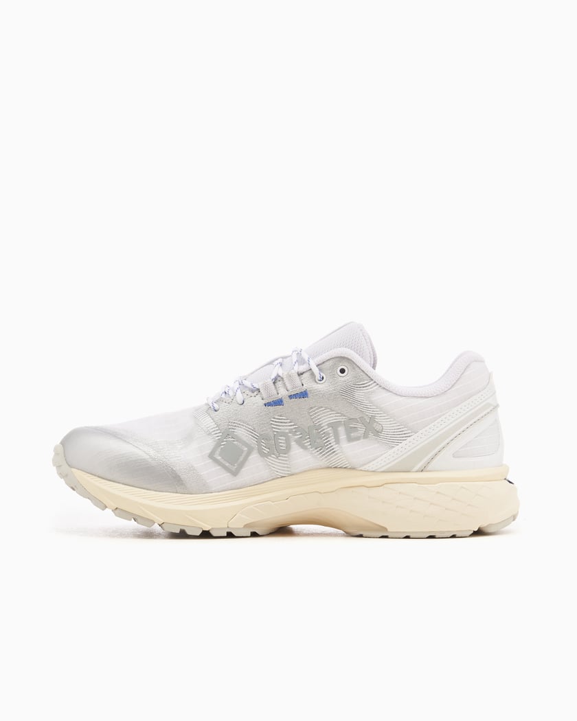 ASICS Gel Terrain Gore Tex