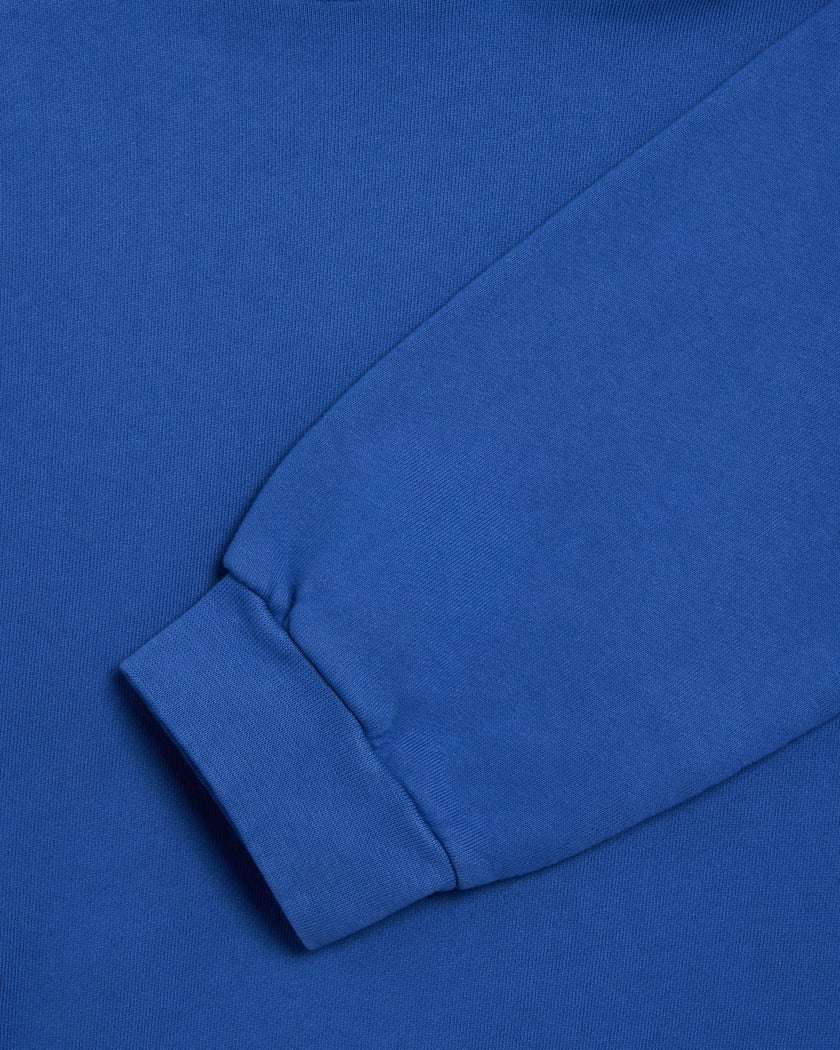 Hoodie com gráfico Relaxed Honor The Gift® Chainlink Logo para homem Azul  HTG250560-BLUE | FOOTDISTRICT