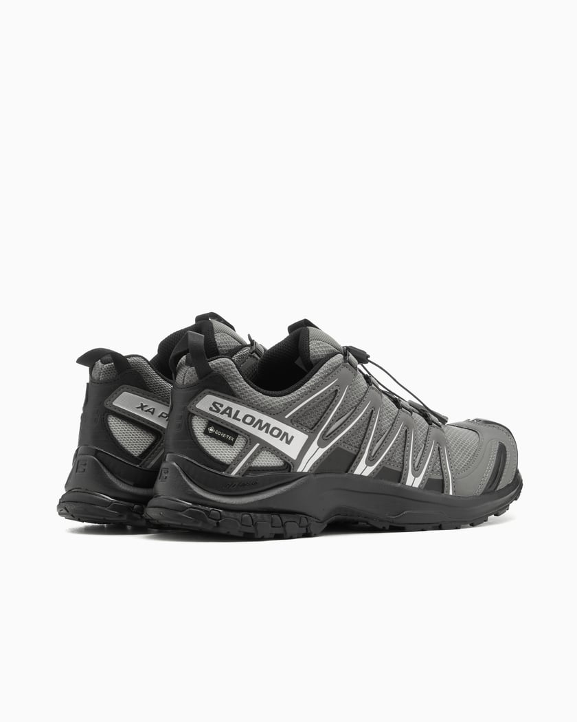 Salomon Advanced XA Pro 3D Gore Tex Grau L47587500 FOOTDISTRICT