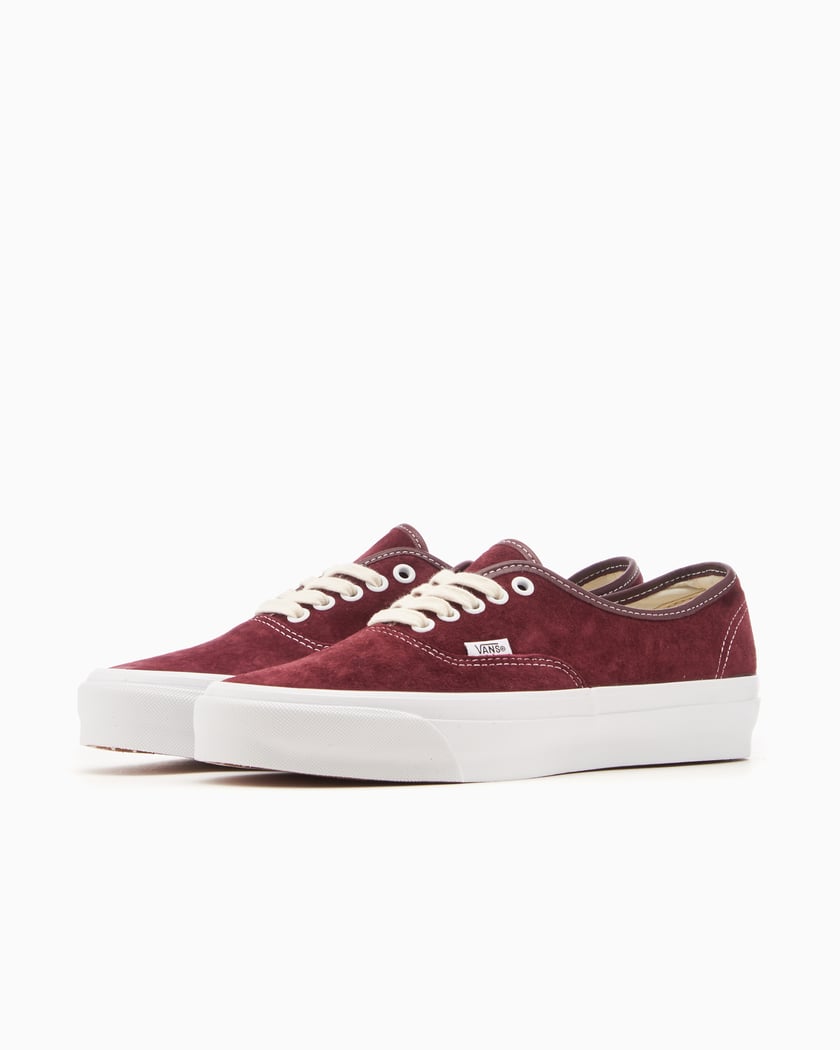 Vans authentic bordeaux homme shop
