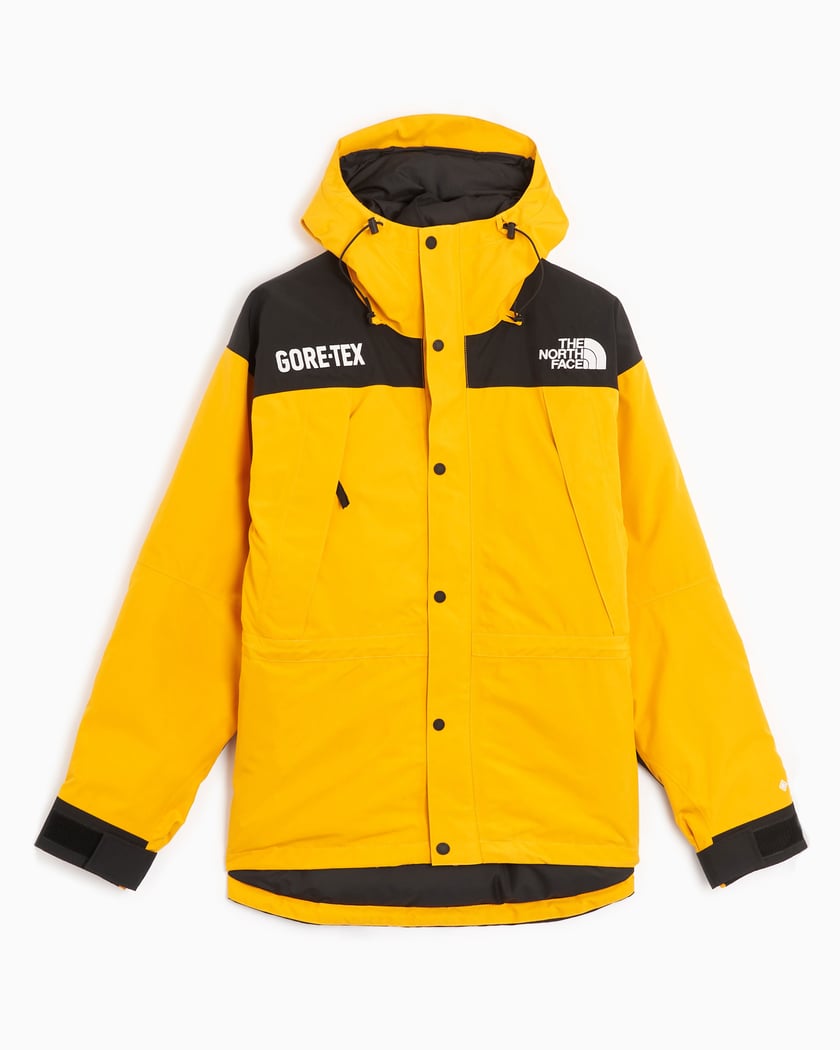The North Face Mountain Guide Men's Insualted Gore-Tex Down Jacket