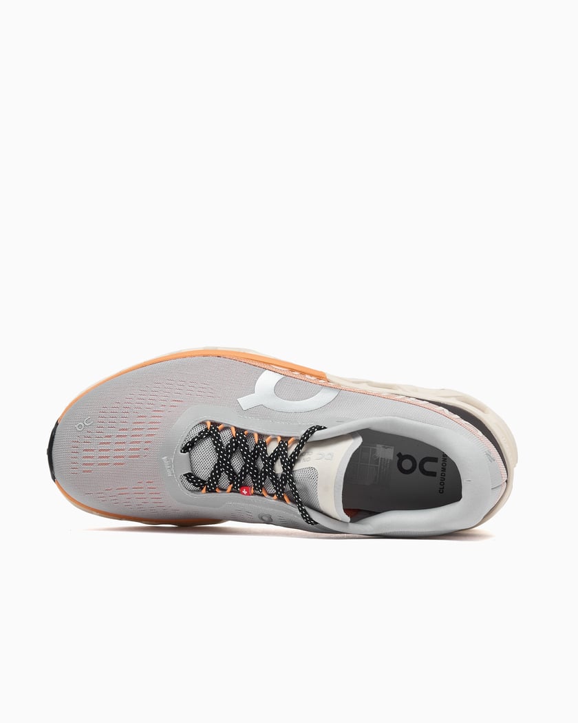 On Cloudmonster 2 Gray 3ME10123198 | FOOTDISTRICT