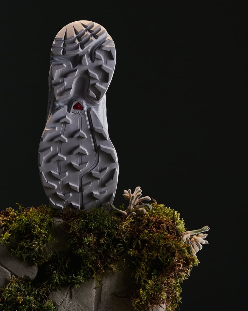Salomon Advanced XT 6