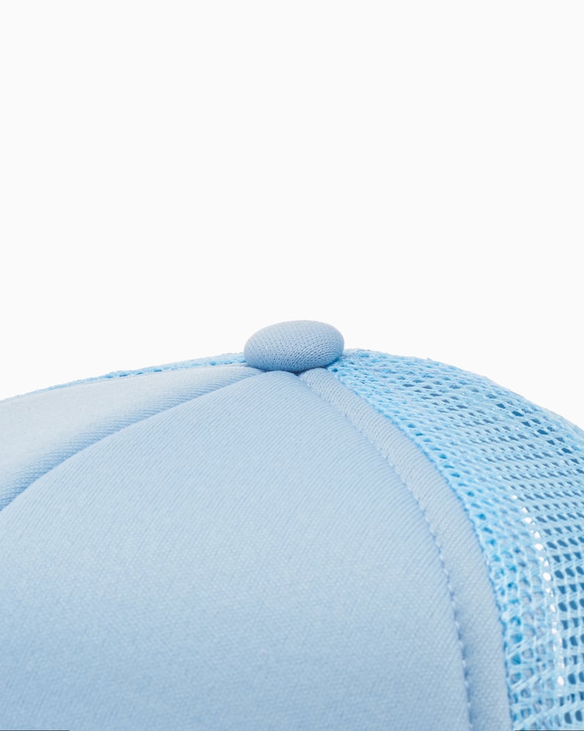 Baby blue carhartt hat deals