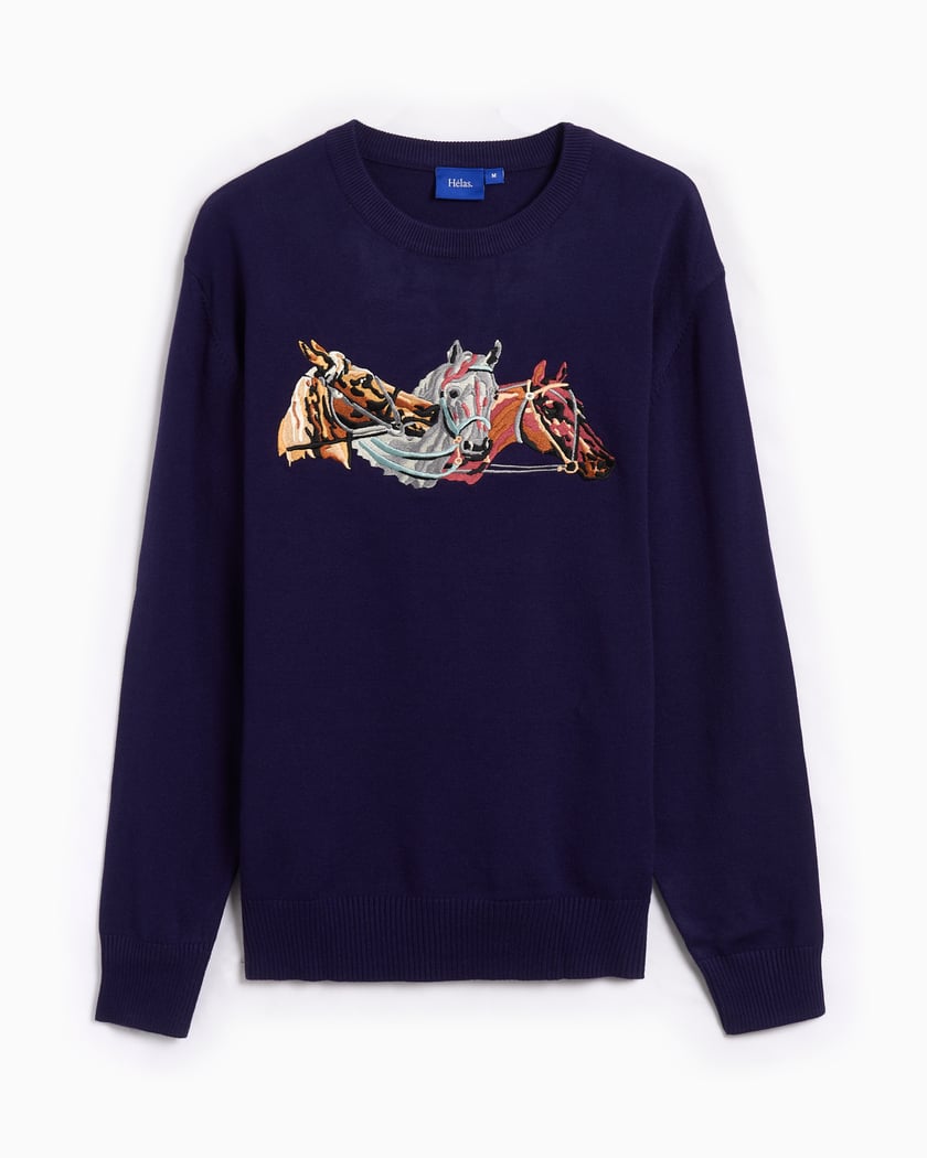 Horses met grafisch Trui voor heren Blauw A05S3D1KNTCRW02