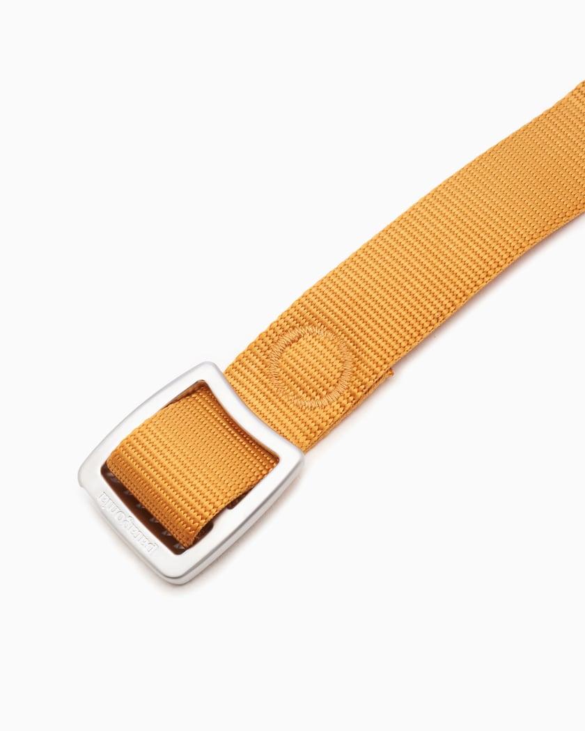 Patagonia web belt clearance