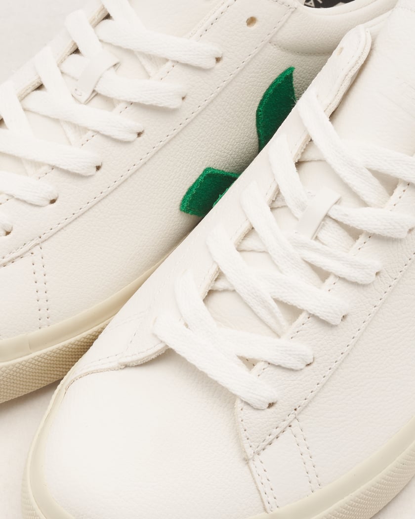 Amazon.com | Veja Campo Canvas Sneaker, 38, White | Fashion Sneakers