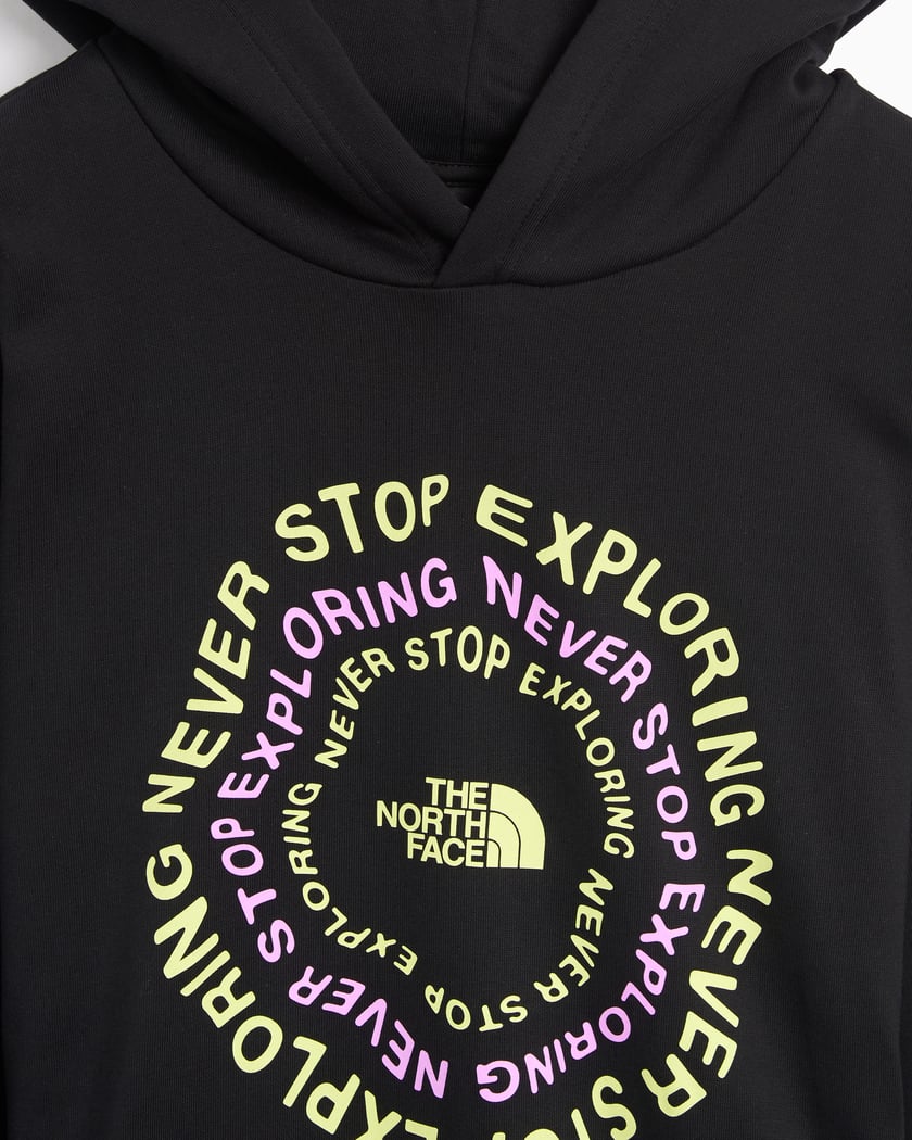 The north face graphic hoodie top