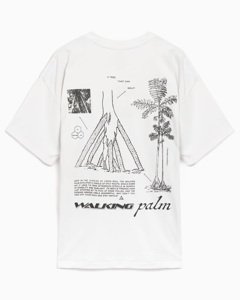 Tシャツ・カットソー Nike ACG Walking Tree Men's Dry Fit T-Shirt HJ0797-121 Nike ACG 