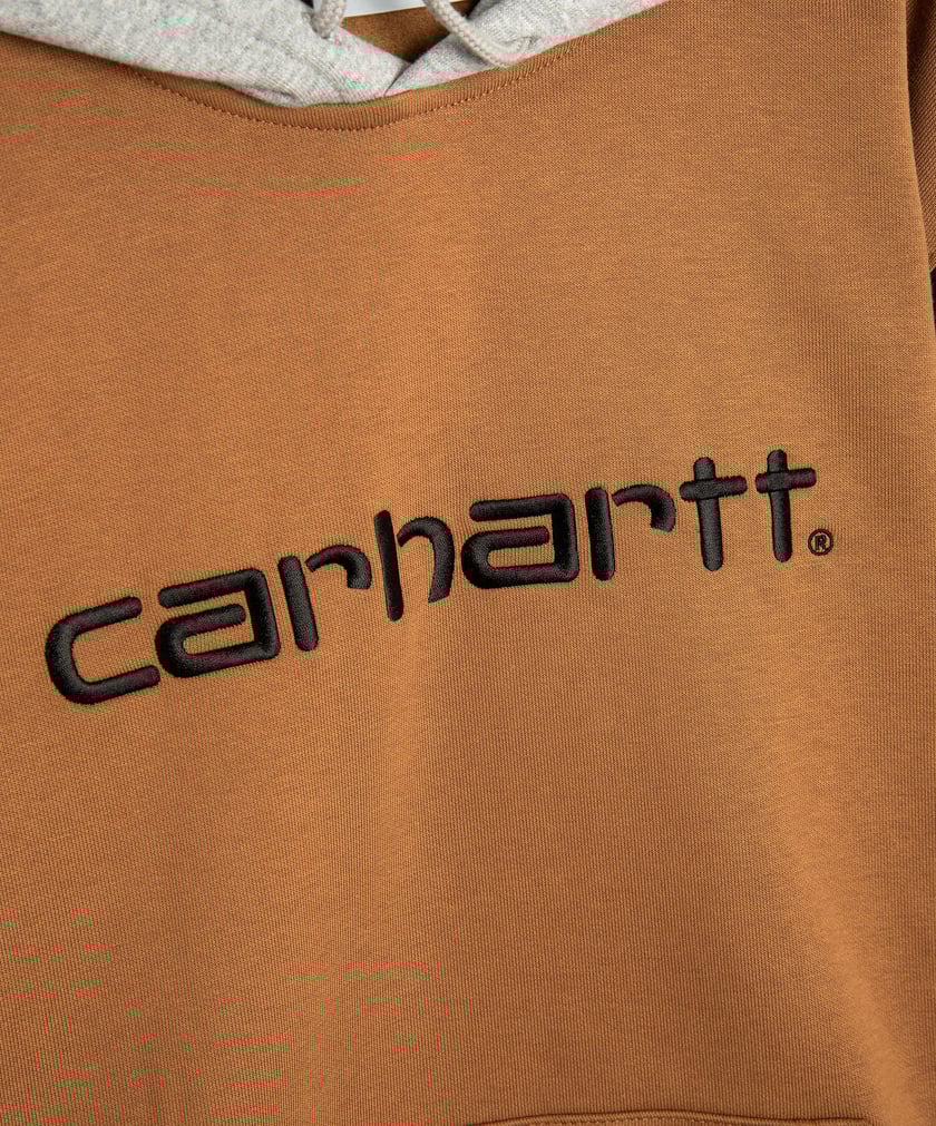Carhartt wip tricolor script logo hoodie in multi sales