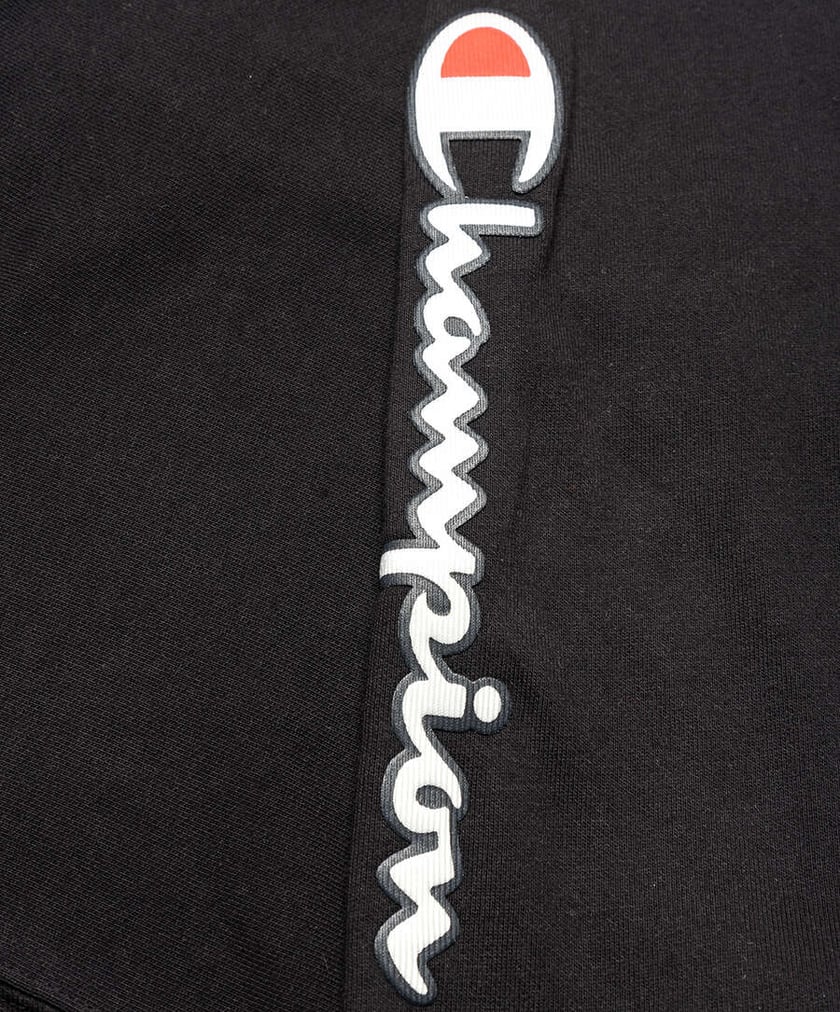 Champion metallic script store hoodie