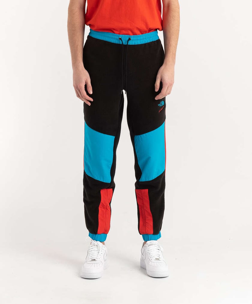 THE NORTH FACE EXTREME FLEECEPANTS