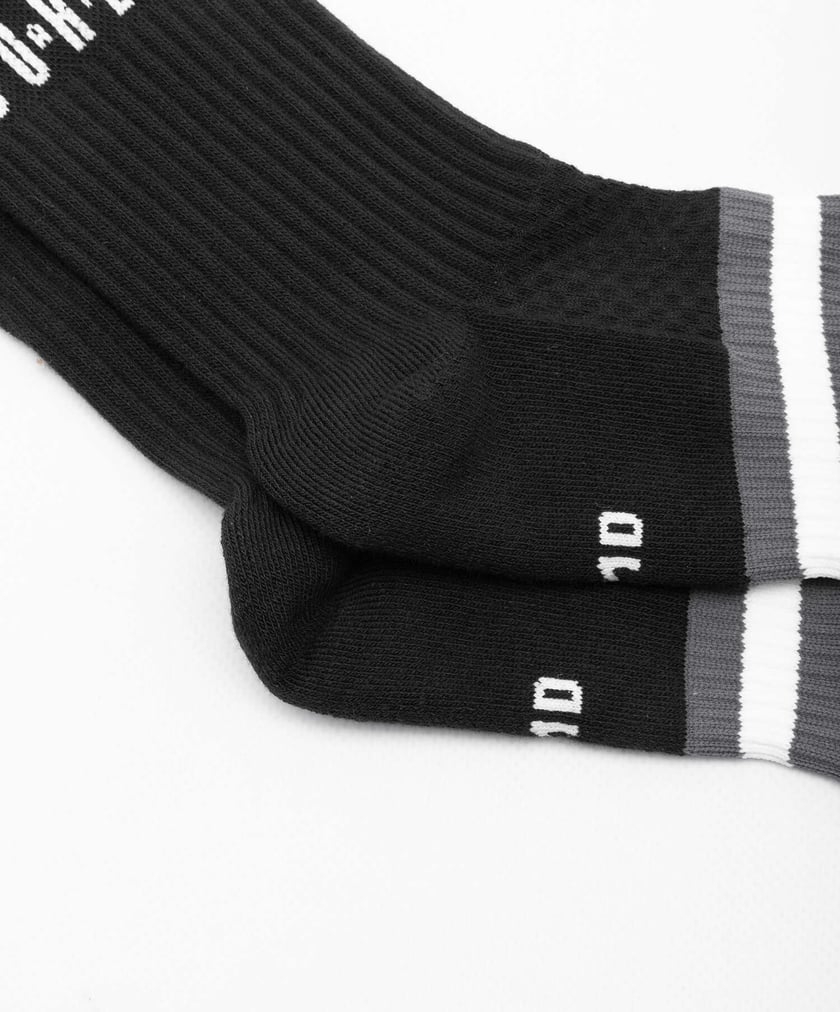 Jordan Legacy Unisex Socks