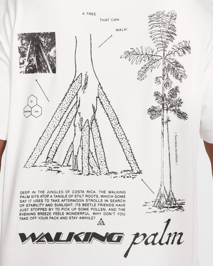Tシャツ・カットソー Nike ACG Walking Tree Men's Dry Fit T-Shirt HJ0797-121 Nike ACG 
