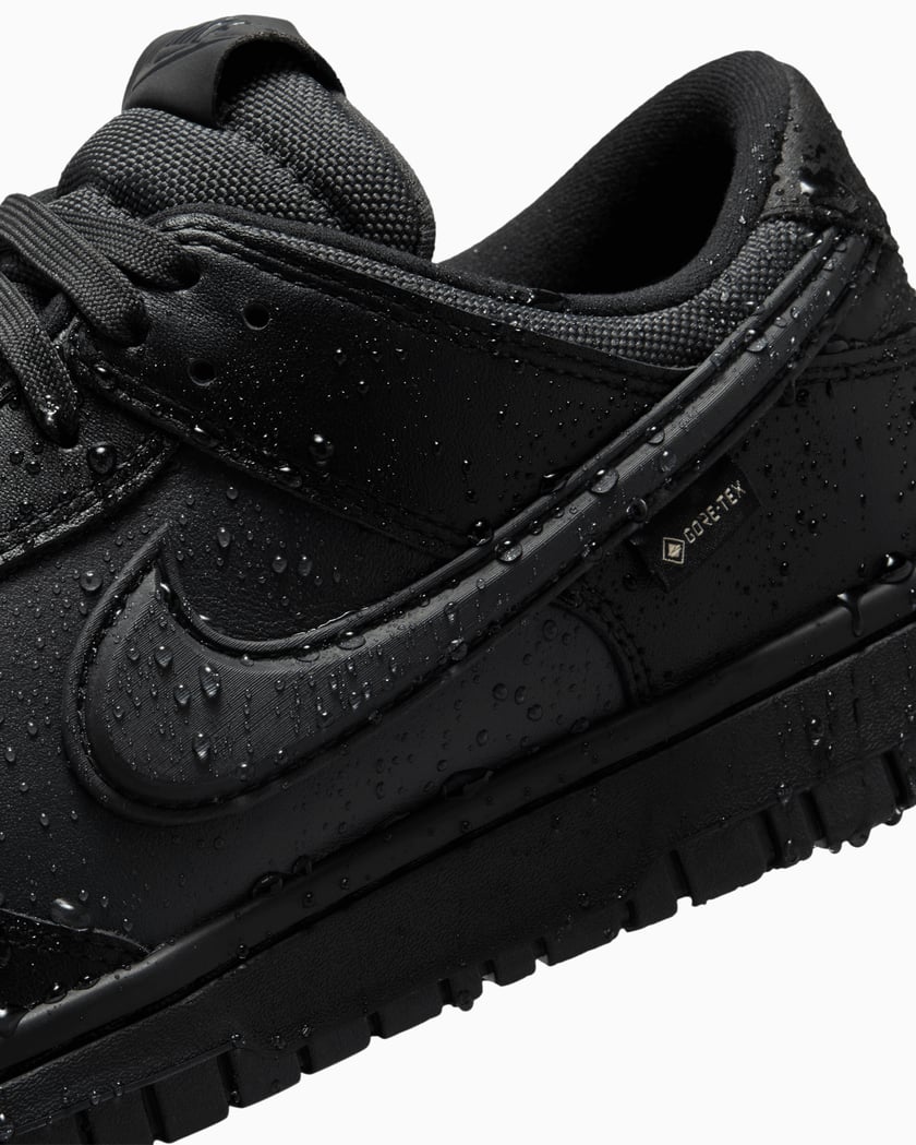 Nike Dunk Low Gore-Tex® Black HQ2053-001 | FOOTDISTRICT