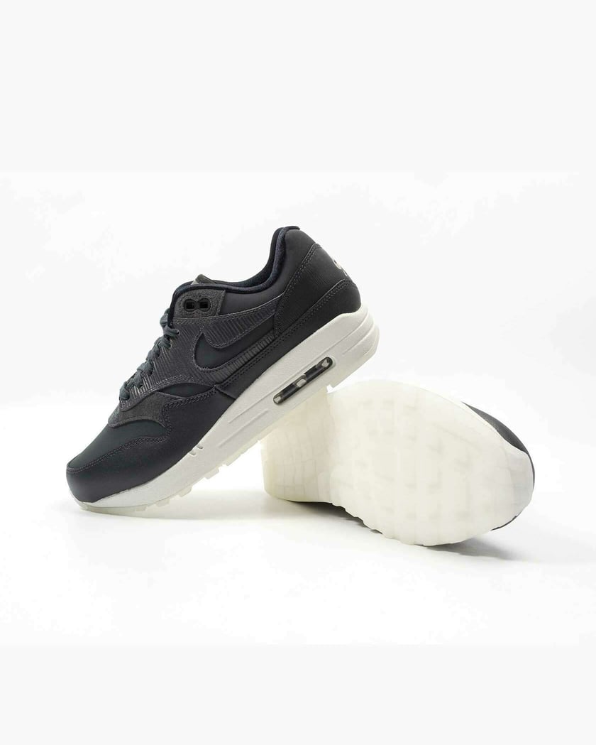 Nike WMNS Air Max 1 Premium Gray 454746 016 FOOTDISTRICT