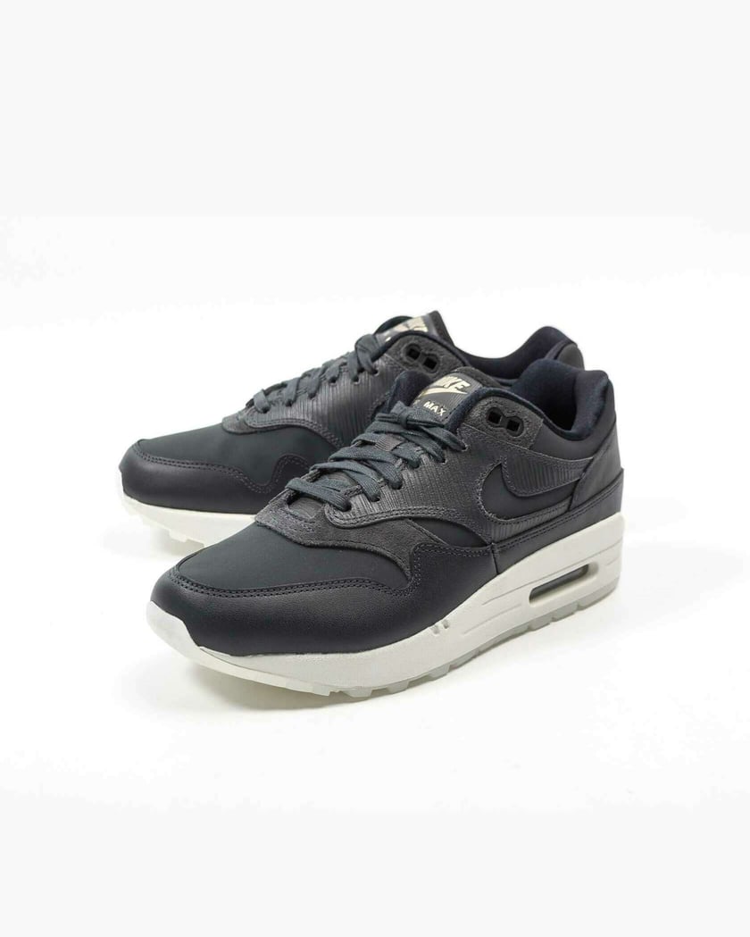 Nike WMNS Air Max 1 Premium Grijs 454746 016 FOOTDISTRICT